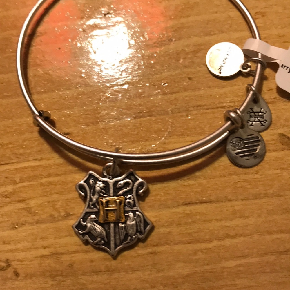 ✨HARRY POTTER Alex and Ani Bangle ✨🐍⚡️🍻 🧙‍♂️ 🔮